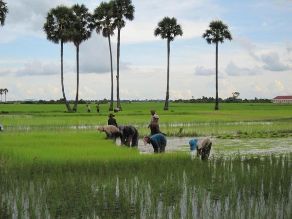 Laos tour in a small group