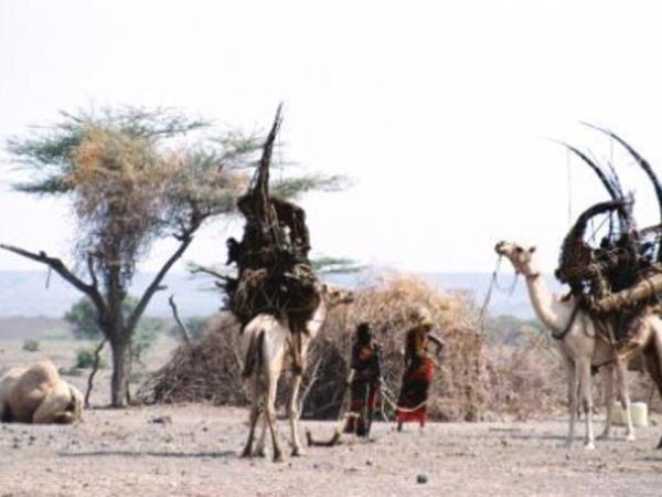 Kenya vacation, culture and wildlife