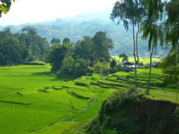 Cultural vacation in Indonesia