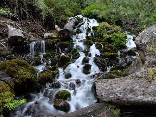 Chile holidays, tailor made