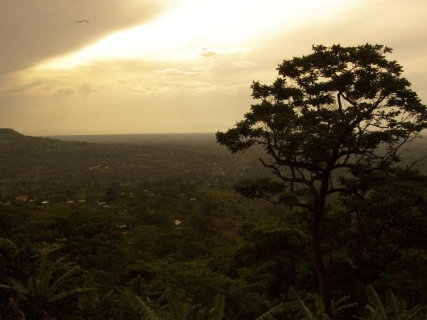 Uganda tailor made tour