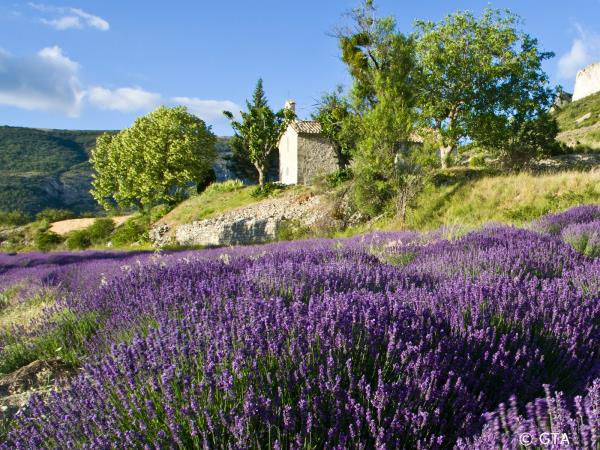 Upper Provence walking vacation in France