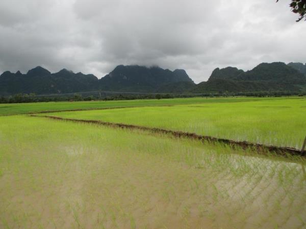 Burma overland tour from Thailand