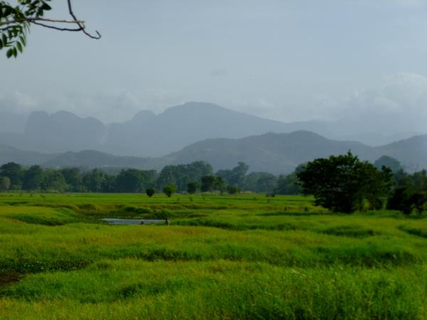 Elephant conservation vacation in Sri Lanka