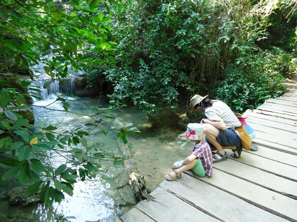 Thailand family vacation