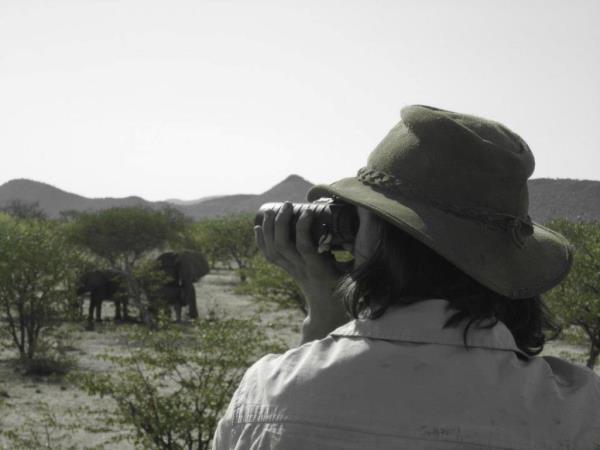 Elephant conservation volunteering in Namibia