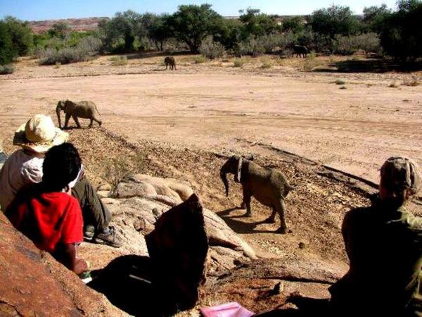 Elephant conservation holiday for families, Namibia