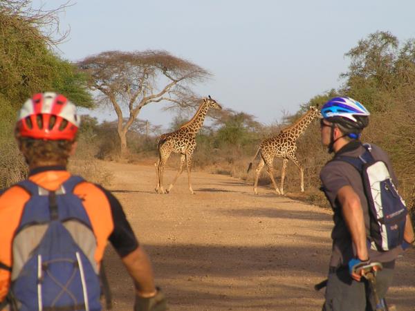 Biking vacation in Kenya & Tanzania