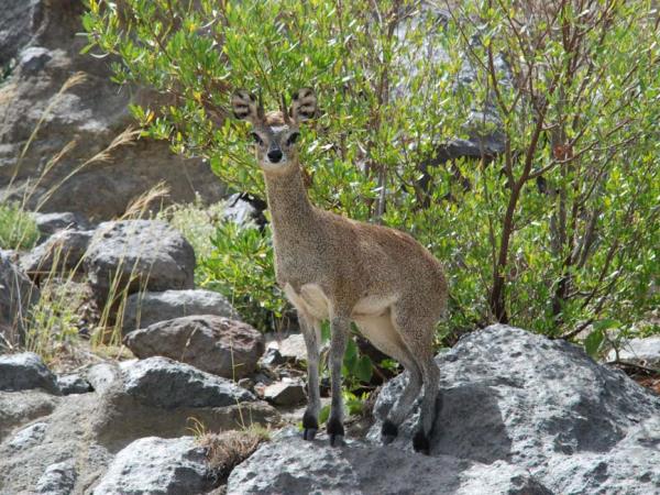 Tour of Ethiopia, Djibouti and Somaliland