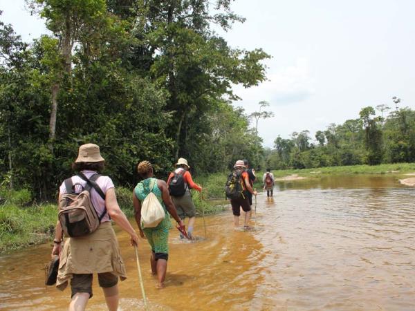 Central African Republic wildlife vacation