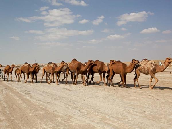 Turkmenistan holidays