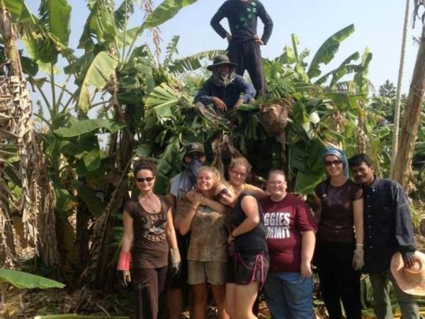 Elephant refuge volunteering in Thailand