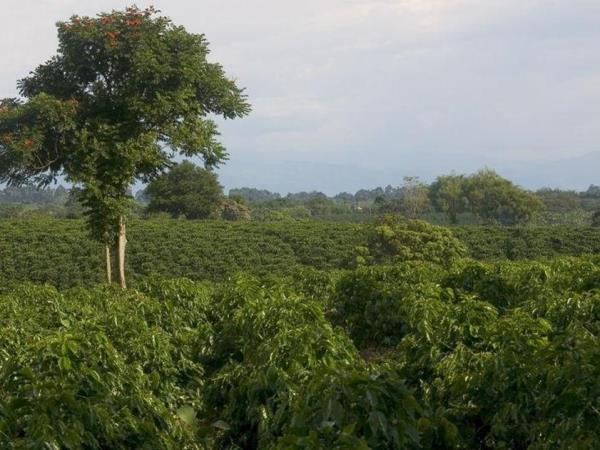 Colombia vacation, cities and coast