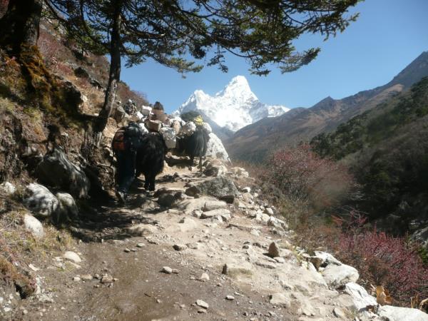 Everest Base Camp trek, Nepal