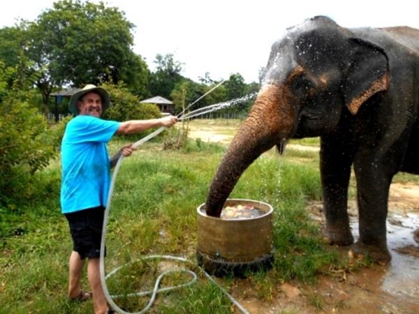 Family elephant refuge volunteering in Thailand