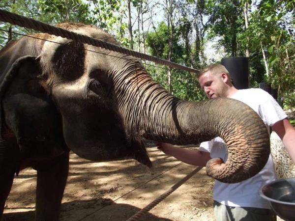Family elephant refuge volunteering in Thailand