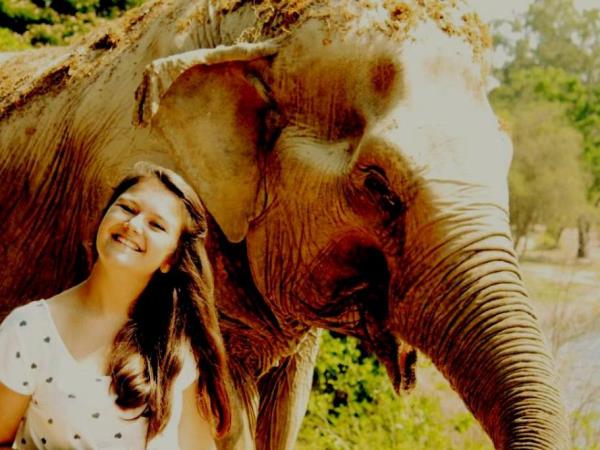 Family elephant refuge volunteering in Thailand