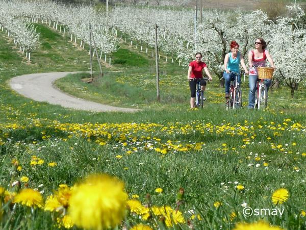 River Lot family cycling tour in France