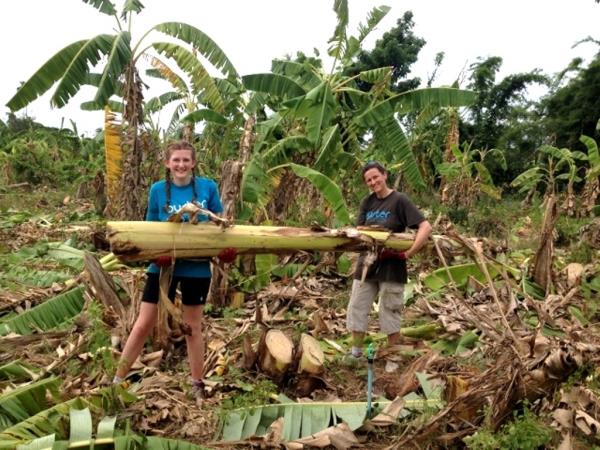 Family elephant refuge volunteering in Thailand