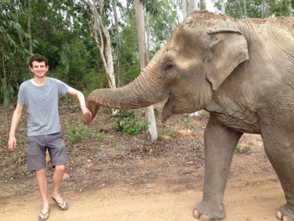Family elephant refuge volunteering in Thailand