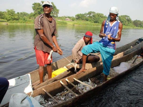 Congo River Expedition, DRC