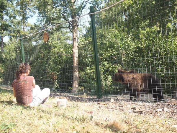 Family volunteering with bears in Romania