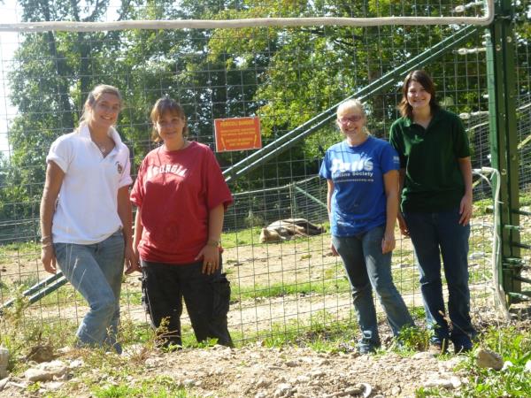 Family volunteering with bears in Romania
