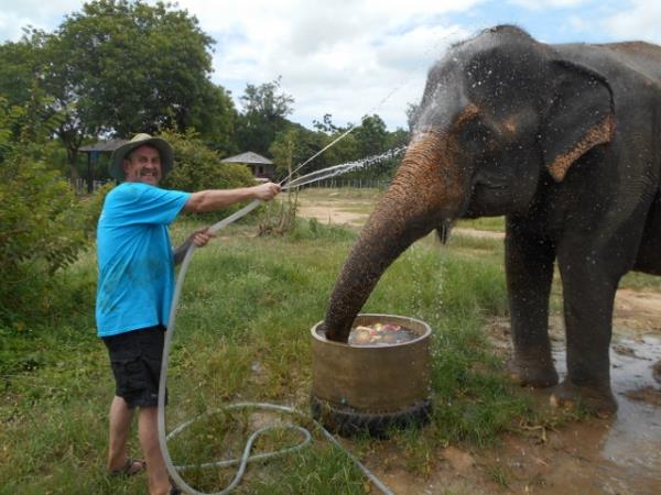 Family volunteering in Thailand