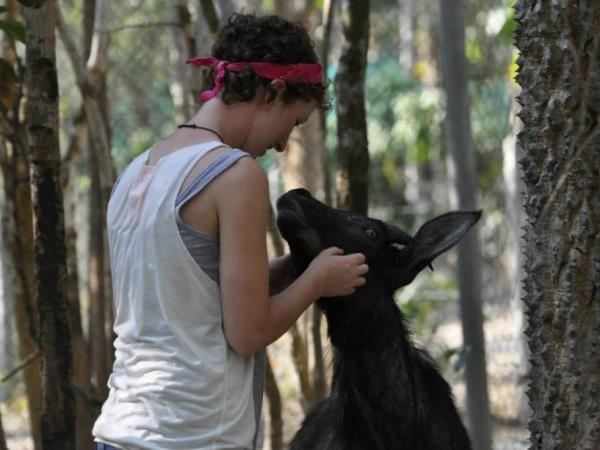 Family volunteering in Thailand