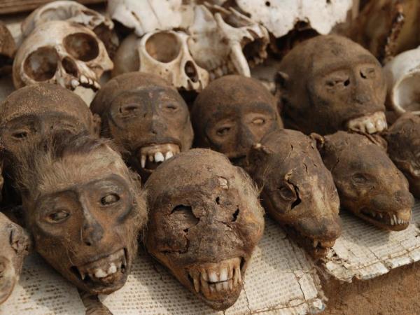 Ghana, Togo and Benin vacation