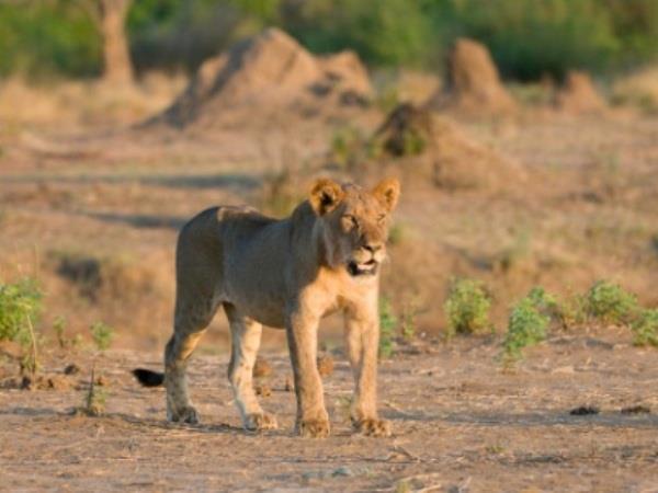 Zimbabwe & Zambia holiday