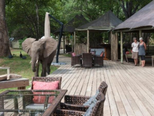 Zimbabwe & Zambia holiday
