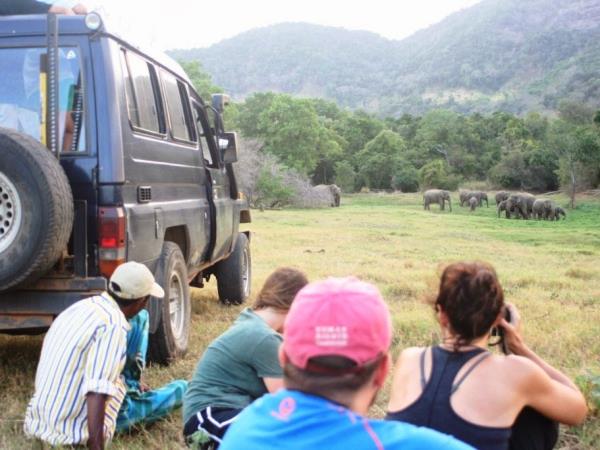 Family volunteering with elephants in Sri Lanka