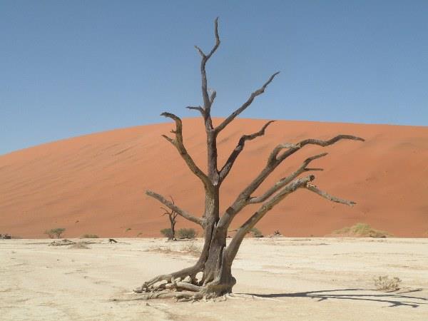 Diverse Namibia vacation