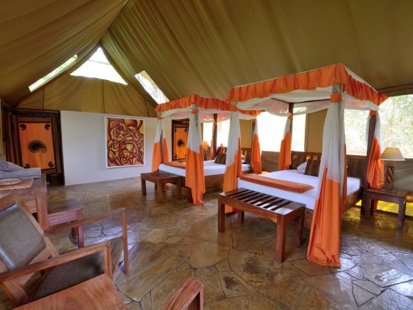 Luxury Tanzania safari and Zanzibar beach vacation