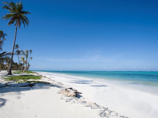 Luxury Tanzania safari and Zanzibar beach vacation