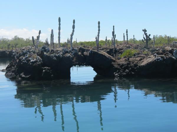 Galapagos and Ecuador small group vacation
