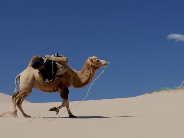 Mongolia Gobi Desert tour