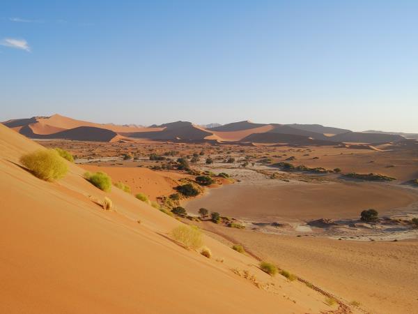 Namibia vacation, safari & desert discovery