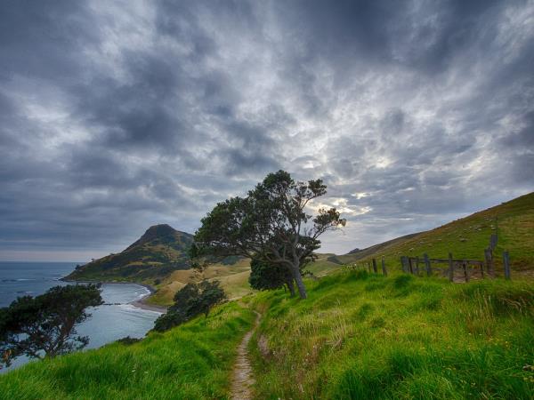New Zealand vacation, tailor made