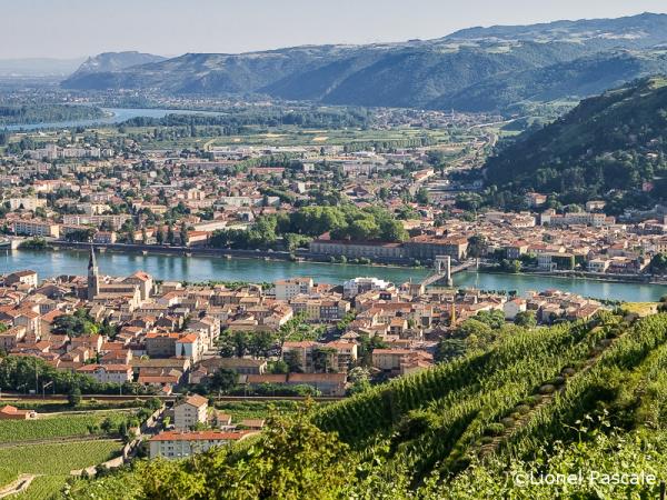 The Via Rhona cycling tour, Vienne to Montélimar