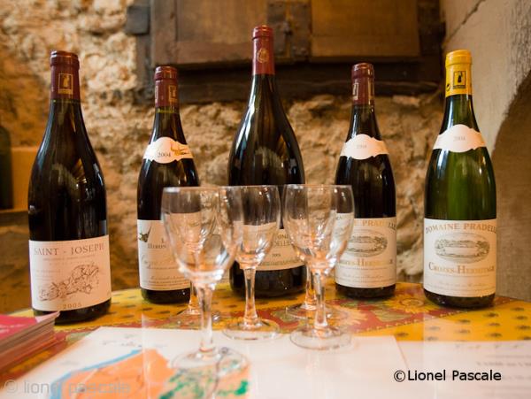 The Via Rhona cycling tour, Vienne to Montélimar