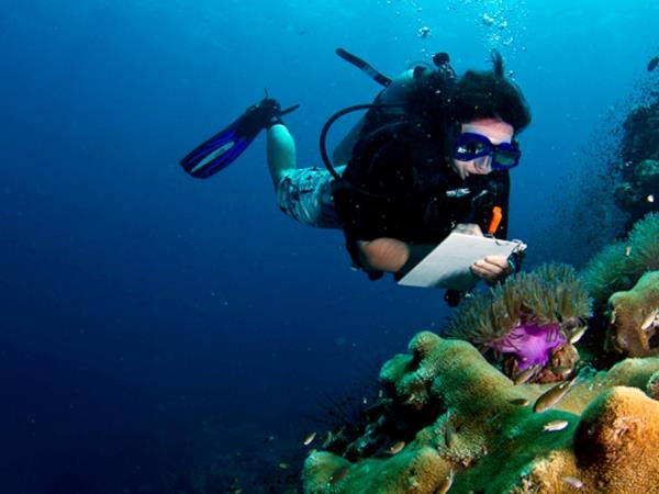 Thailand marine conservation and diving holiday
