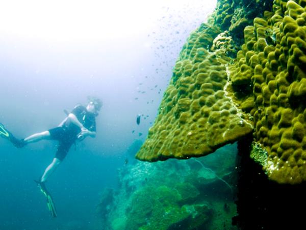 Thailand marine conservation and diving holiday