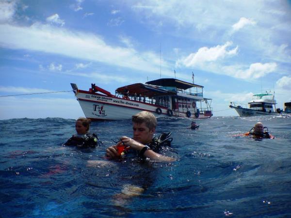 Thailand marine conservation and diving holiday