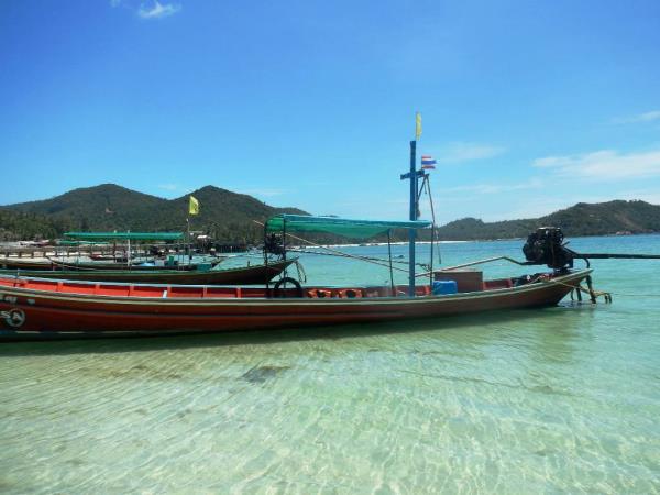 Thailand marine conservation and diving holiday