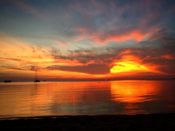 Thailand marine conservation and diving holiday