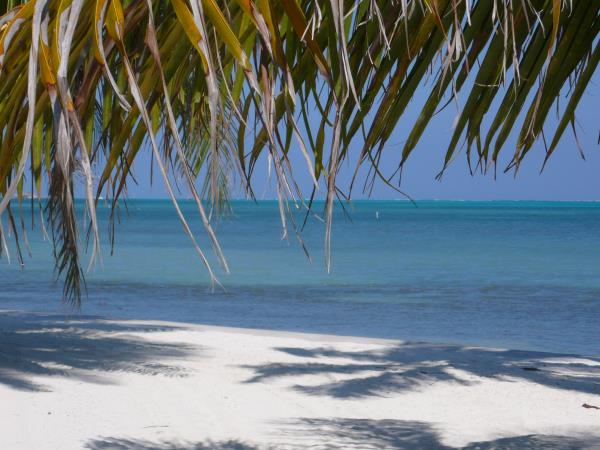 Tailor made holiday in Belize