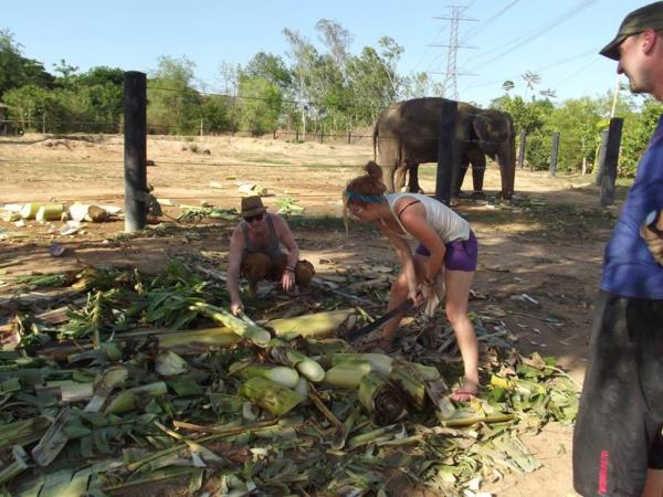 Thailand wildlife sanctuary volunteering holiday