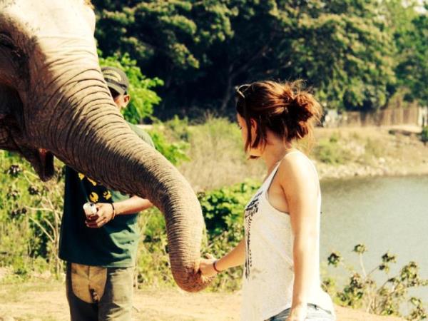 Thailand wildlife sanctuary volunteering holiday